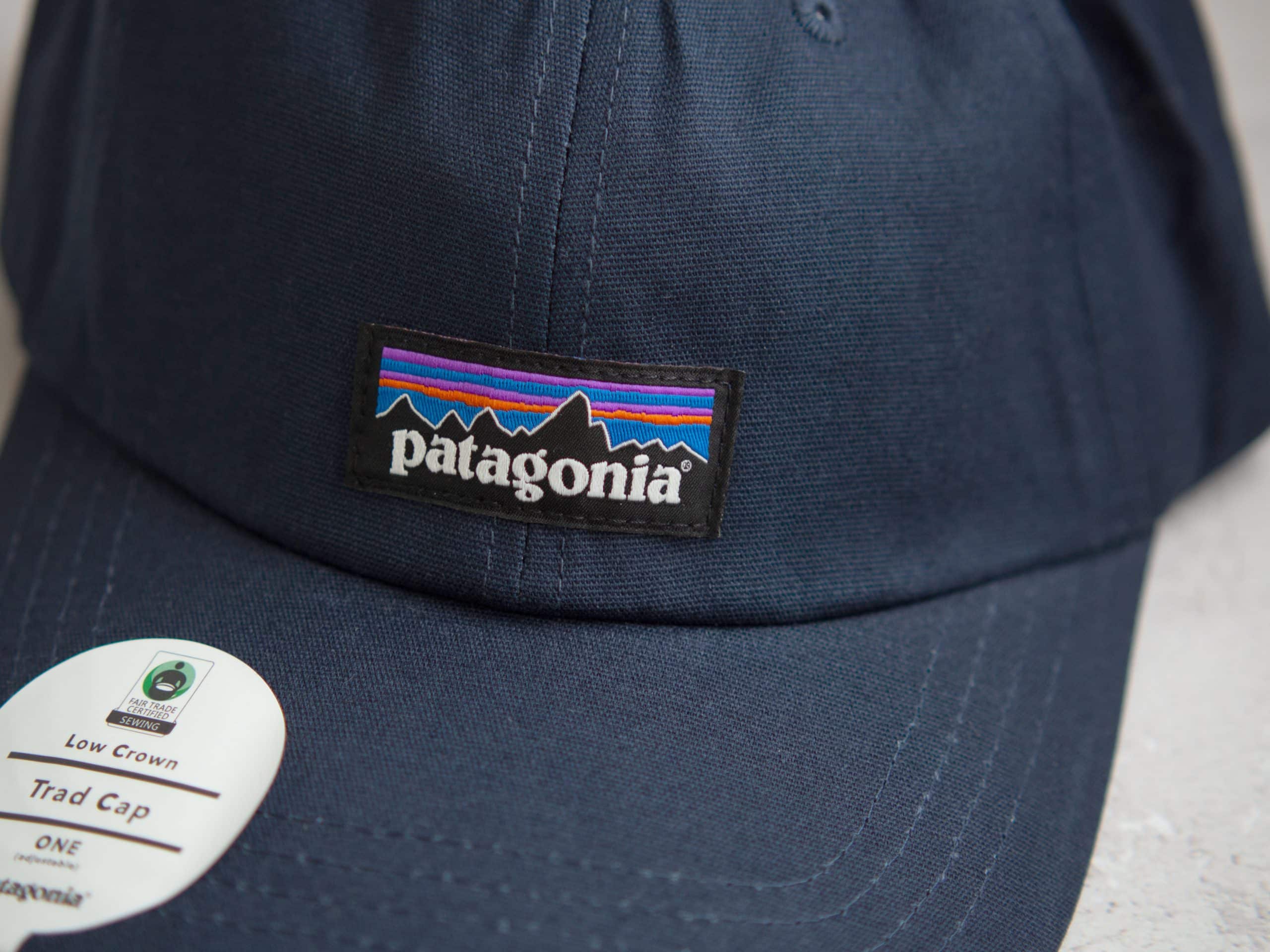 Patagonia cap